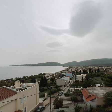 Niki House Lägenhet Volos Exteriör bild