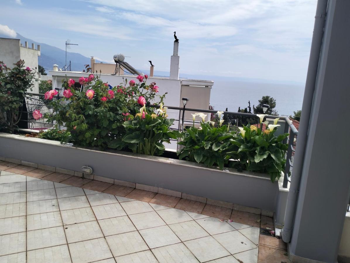 Niki House Lägenhet Volos Exteriör bild