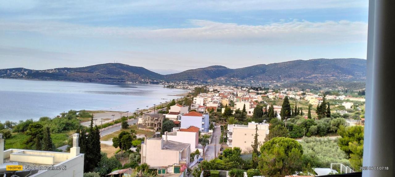 Niki House Lägenhet Volos Exteriör bild